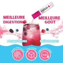 Kombucha Baie thumbnail 3