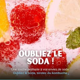 Kombucha Baie thumbnail 6