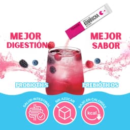 Kombucha de Bayas thumbnail 3