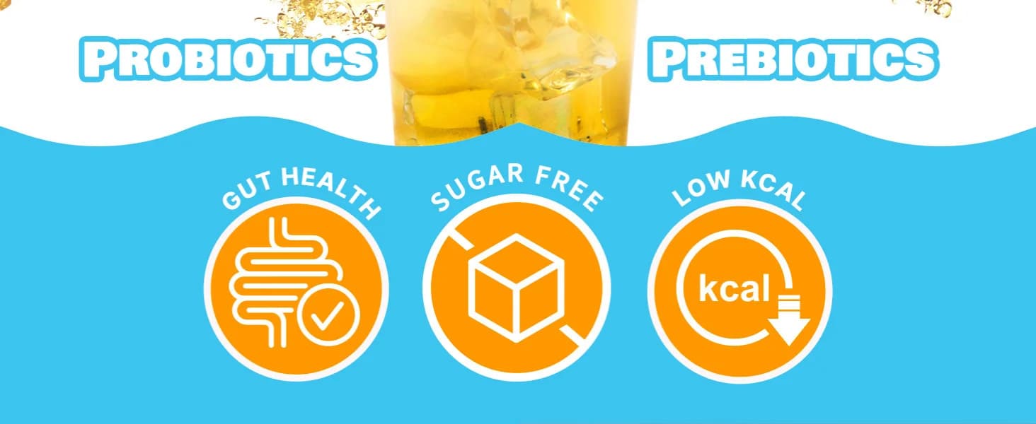 Yuzu Lemon Kombucha banner 2