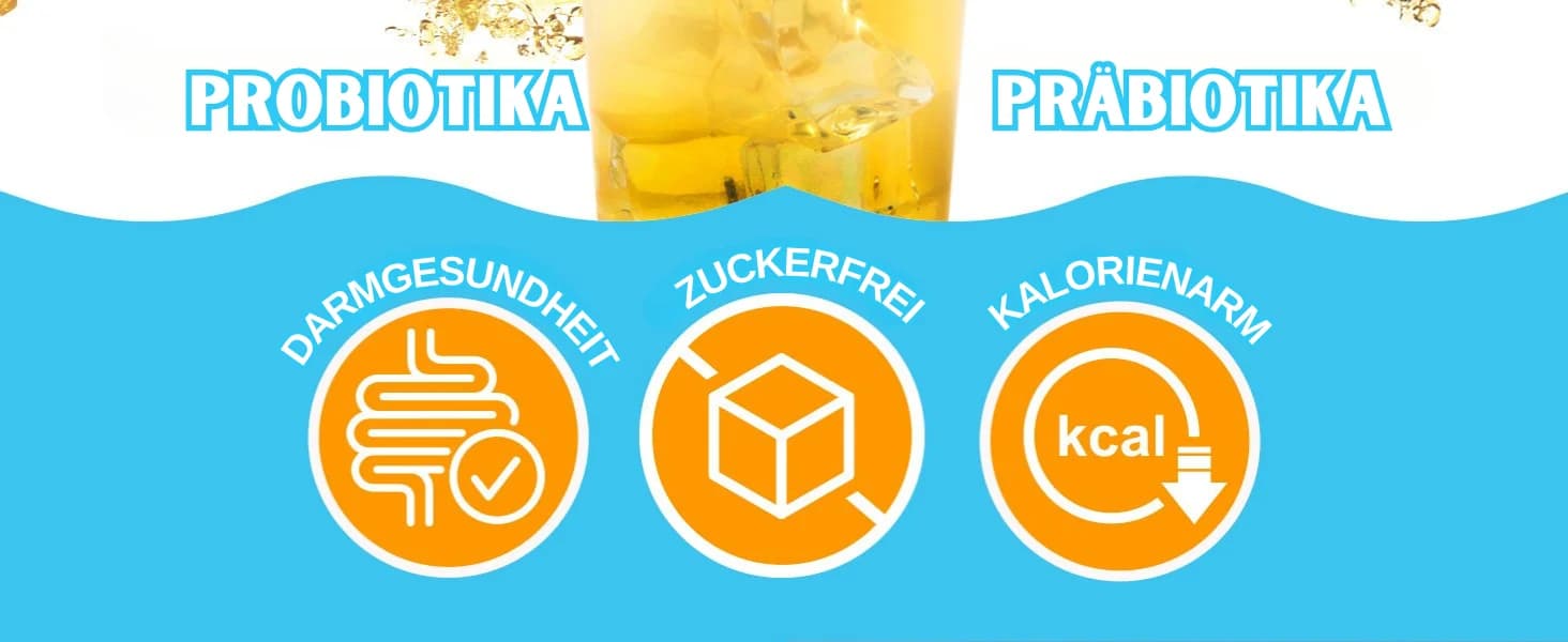 Yuzu Zitronen Kombucha banner 2