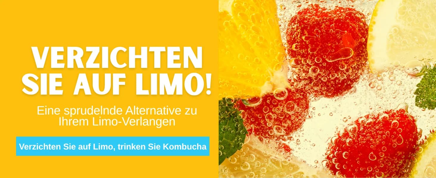Yuzu Zitronen Kombucha banner 6