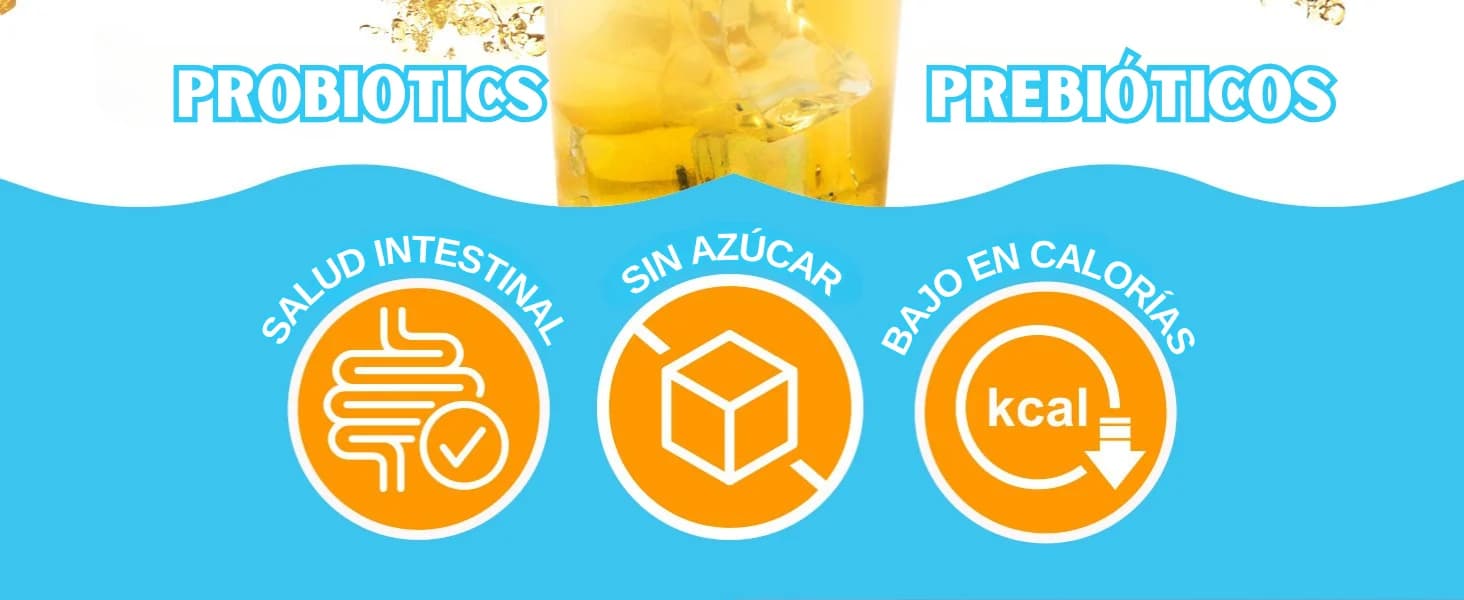 Kombucha Limón (YUZU) banner 2
