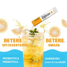 Yuzu Citroen Kombucha thumbnail 6