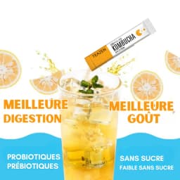 Kombucha Citron (YUZU) thumbnail 6