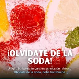 Kombucha Limón (YUZU) thumbnail 8