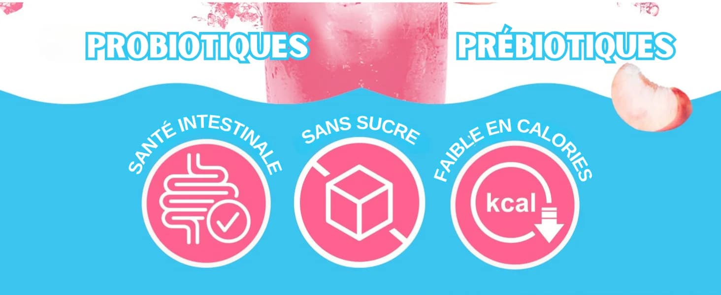 Kombucha PĂȘche banner 2