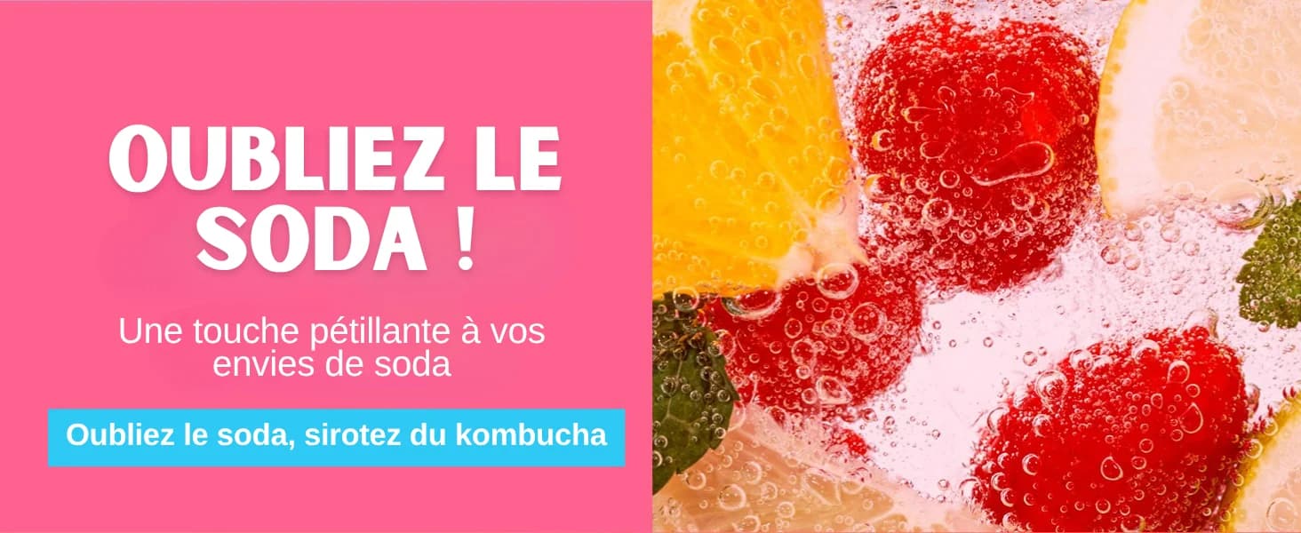 Kombucha PĂȘche banner 6