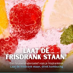 Perzik Kombucha thumbnail 8