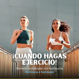 Kombucha Melocotón thumbnail 10