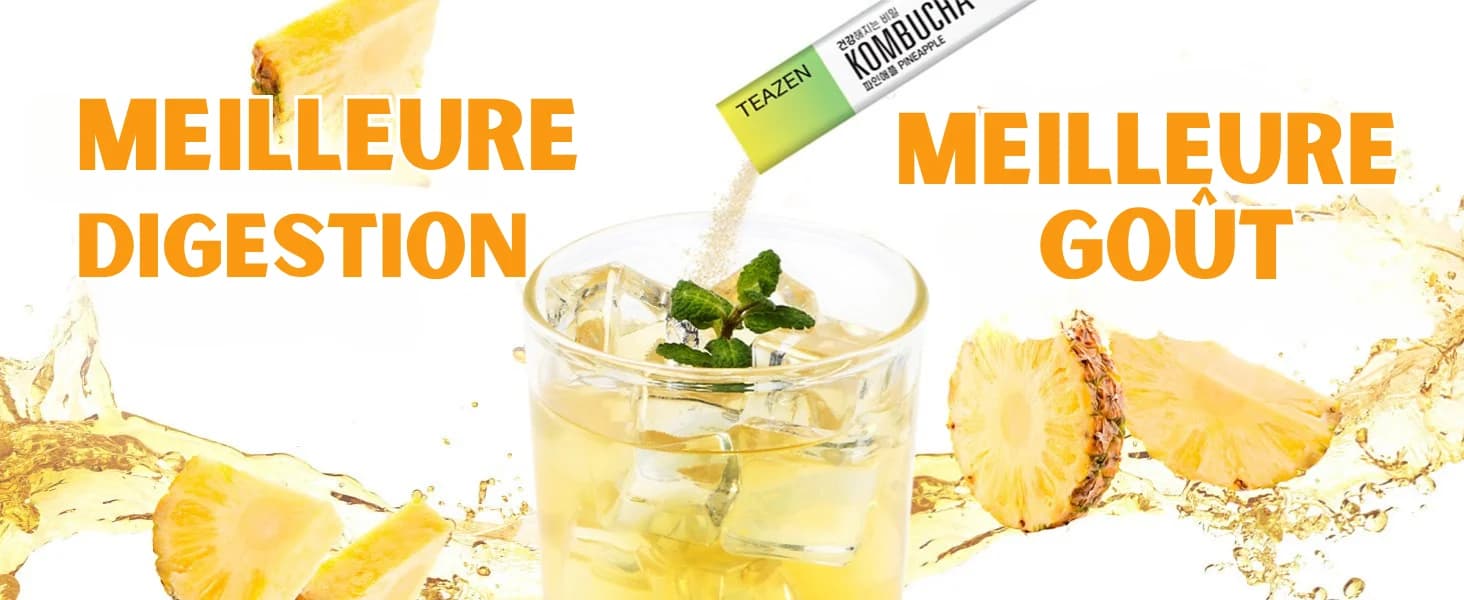 Kombucha Ananas banner 1