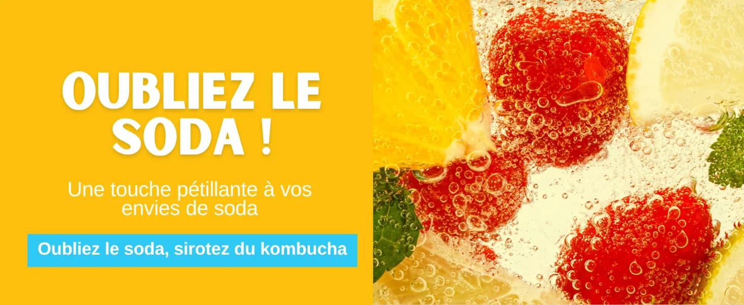Kombucha Ananas banner 6