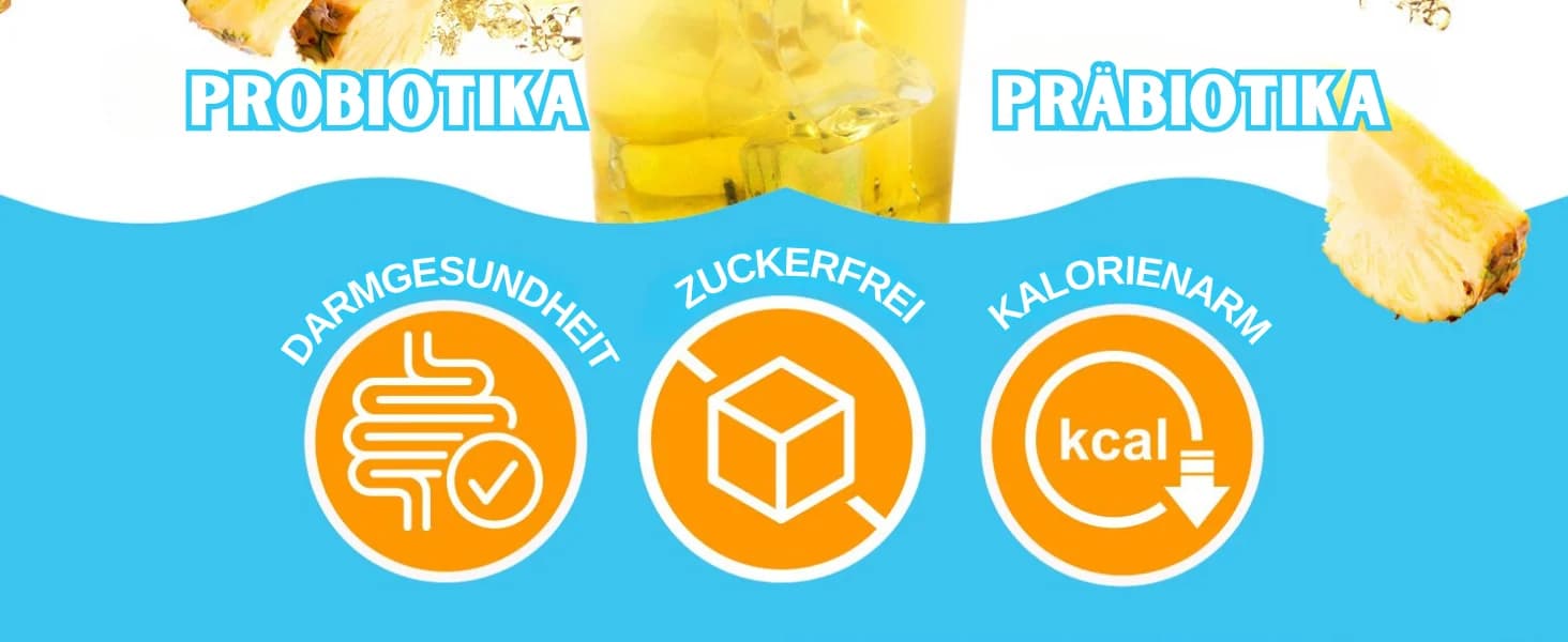 Ananas Kombucha banner 2