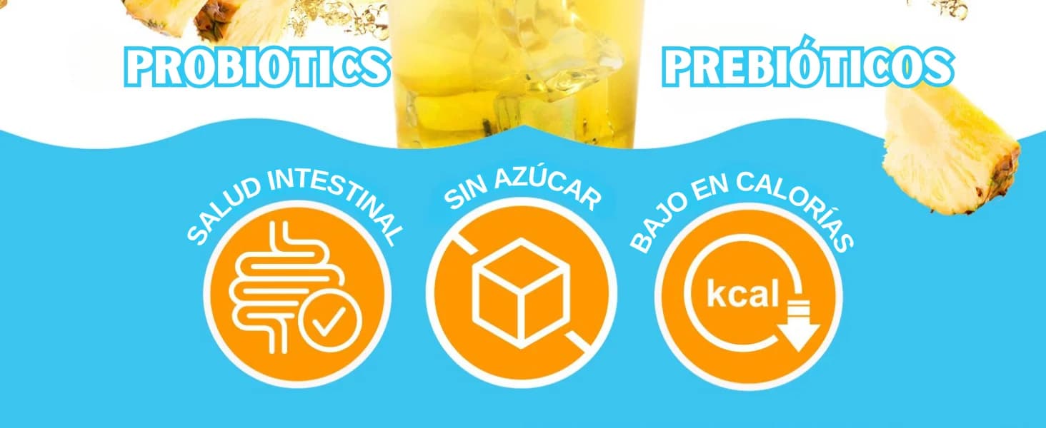 Kombucha Piña banner 2