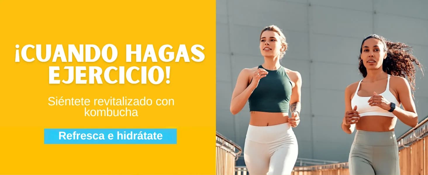 Kombucha Piña banner 4