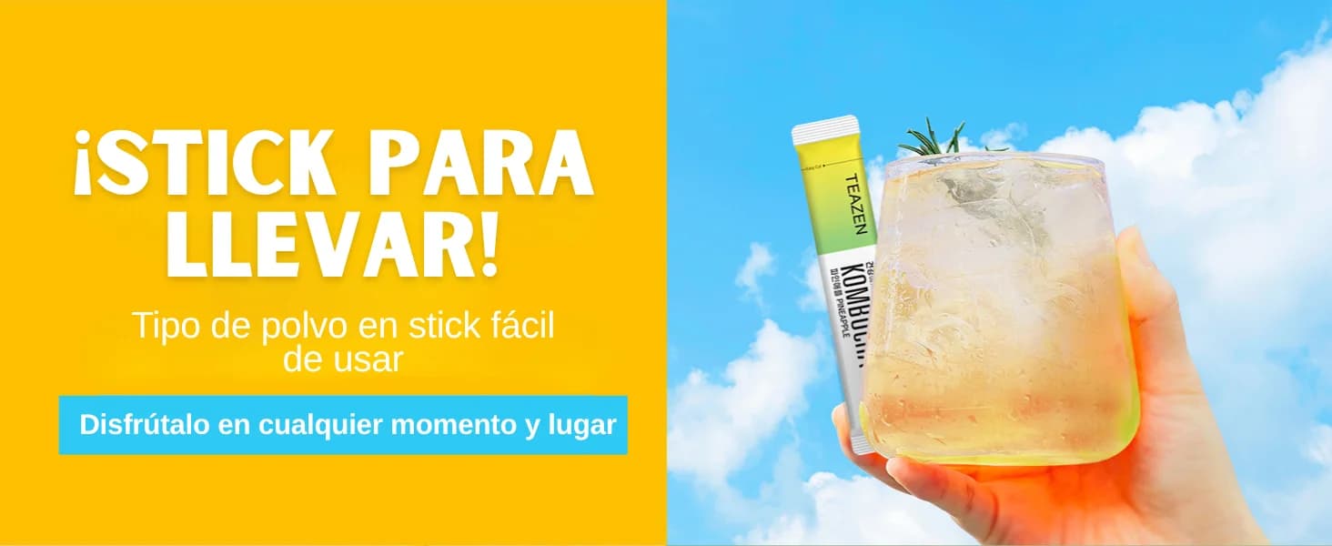 Kombucha Piña banner 5