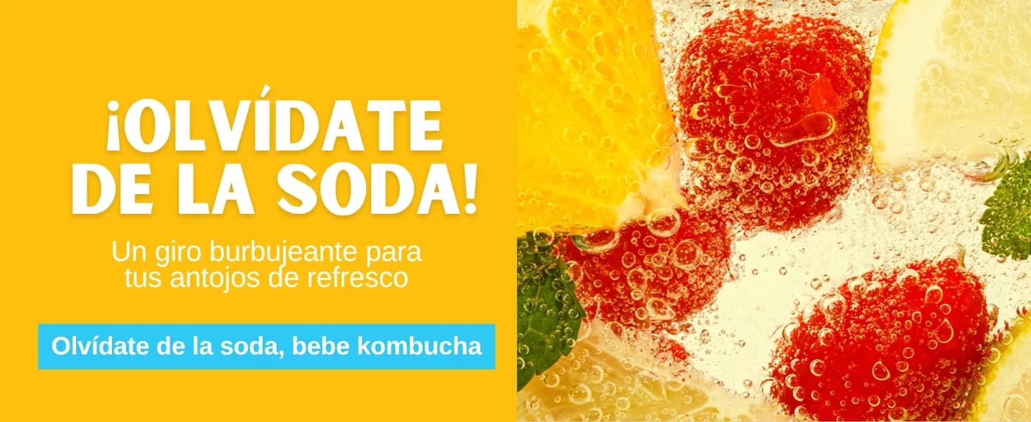 Kombucha Piña banner 6
