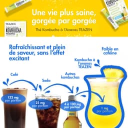 Kombucha Ananas thumbnail 1