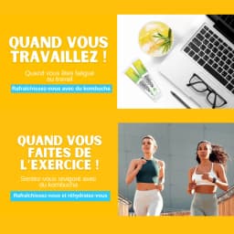 Kombucha Ananas thumbnail 11