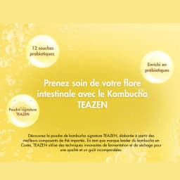 Kombucha Ananas thumbnail 12