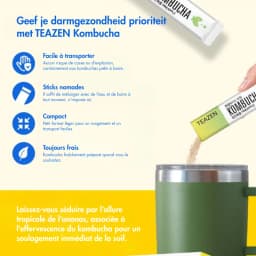 Kombucha Ananas thumbnail 13