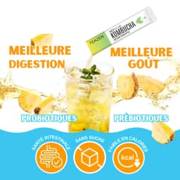 Kombucha Ananas thumbnail 5