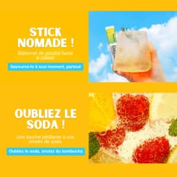 Kombucha Ananas thumbnail 10