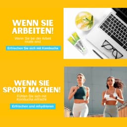 Ananas Kombucha thumbnail 11