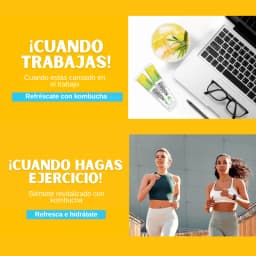 Kombucha Piña thumbnail 11