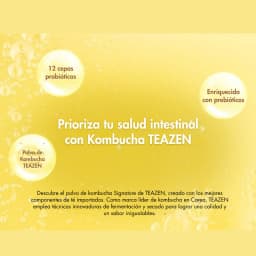 Kombucha Piña thumbnail 12