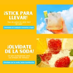 Kombucha Piña thumbnail 10